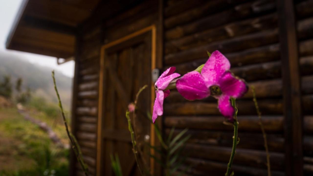 فيلا Estrellaفي Finca Las Huellas: Cabana Acogedora En La Montana المظهر الخارجي الصورة
